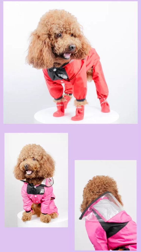 The Dog Face Pet Raincoat