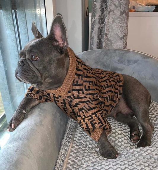 Dog Casual Brown Letter Jumpers
