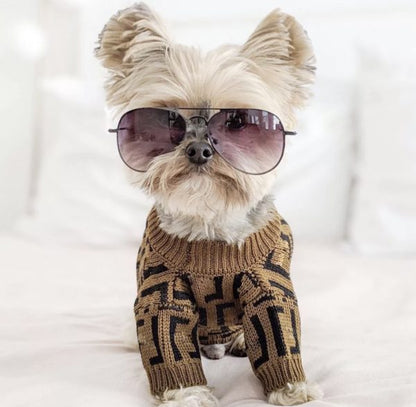 Dog Casual Brown Letter Jumpers