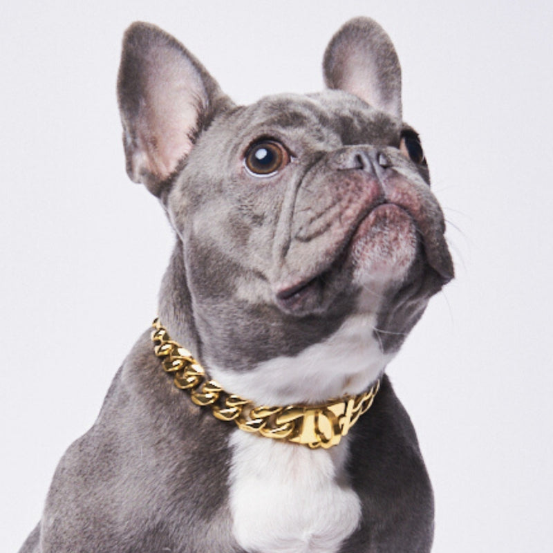 Cuban dog collar